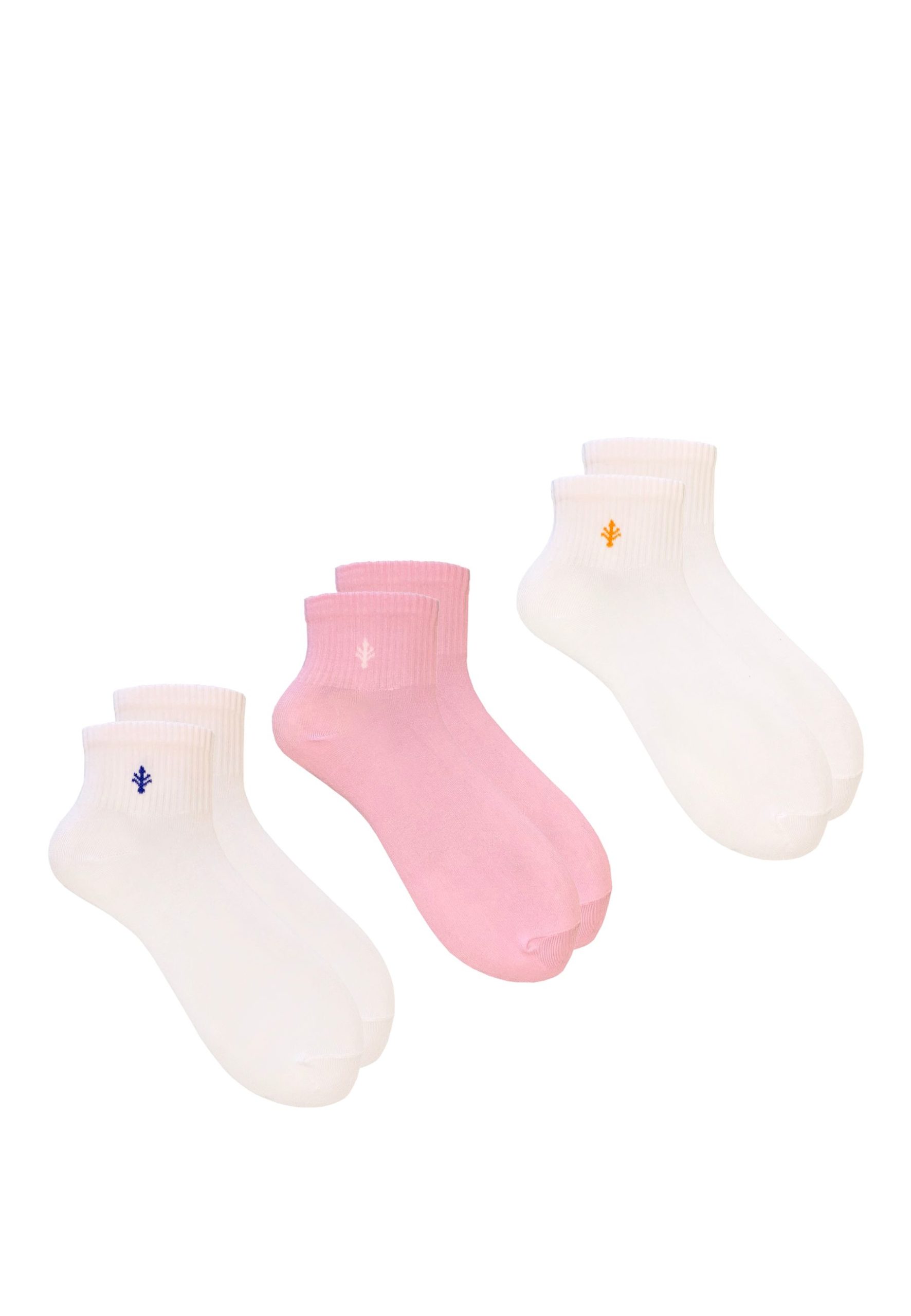 3PAK_LILY_QUARTER_12_39_42