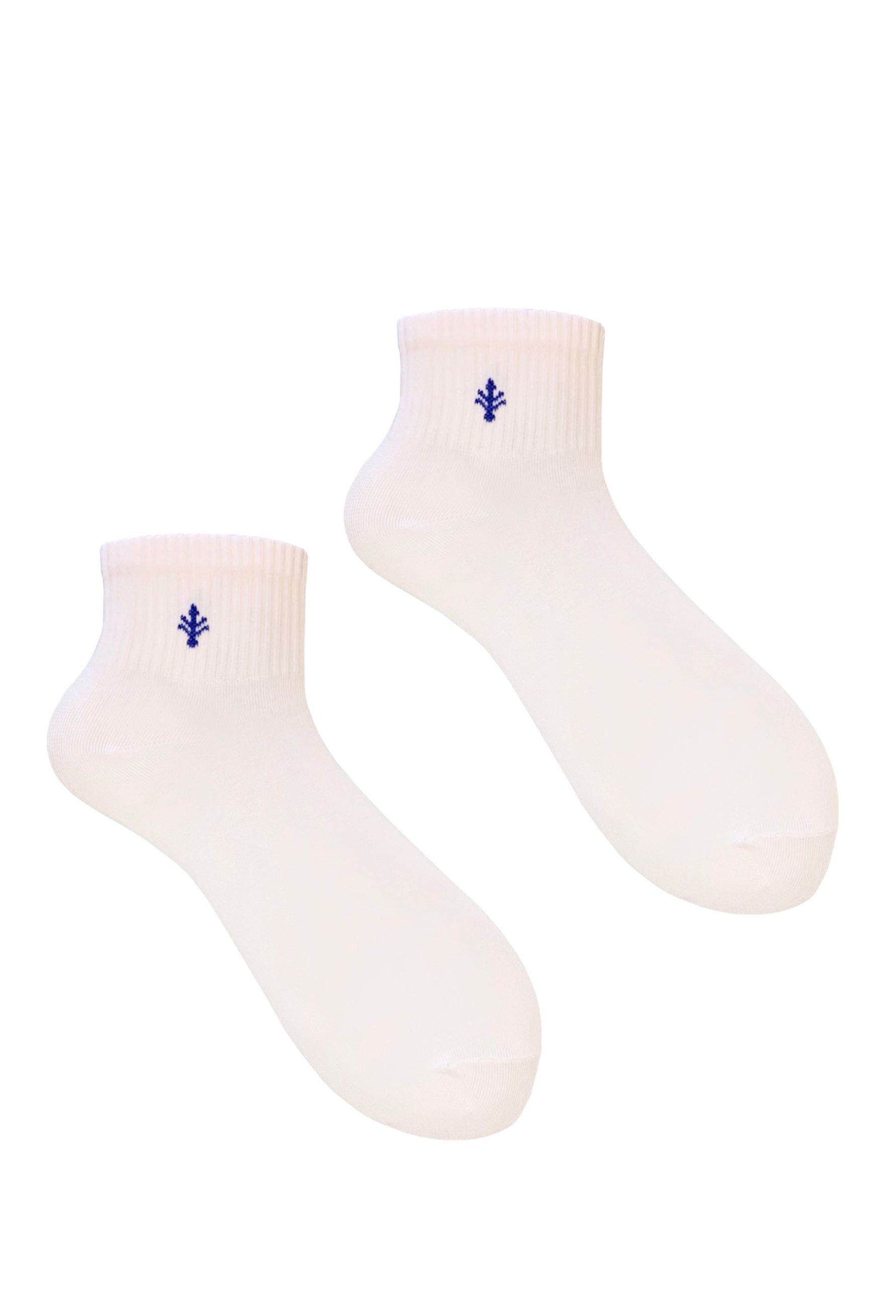 3PAK_LILY_QUARTER_12_39_42_2