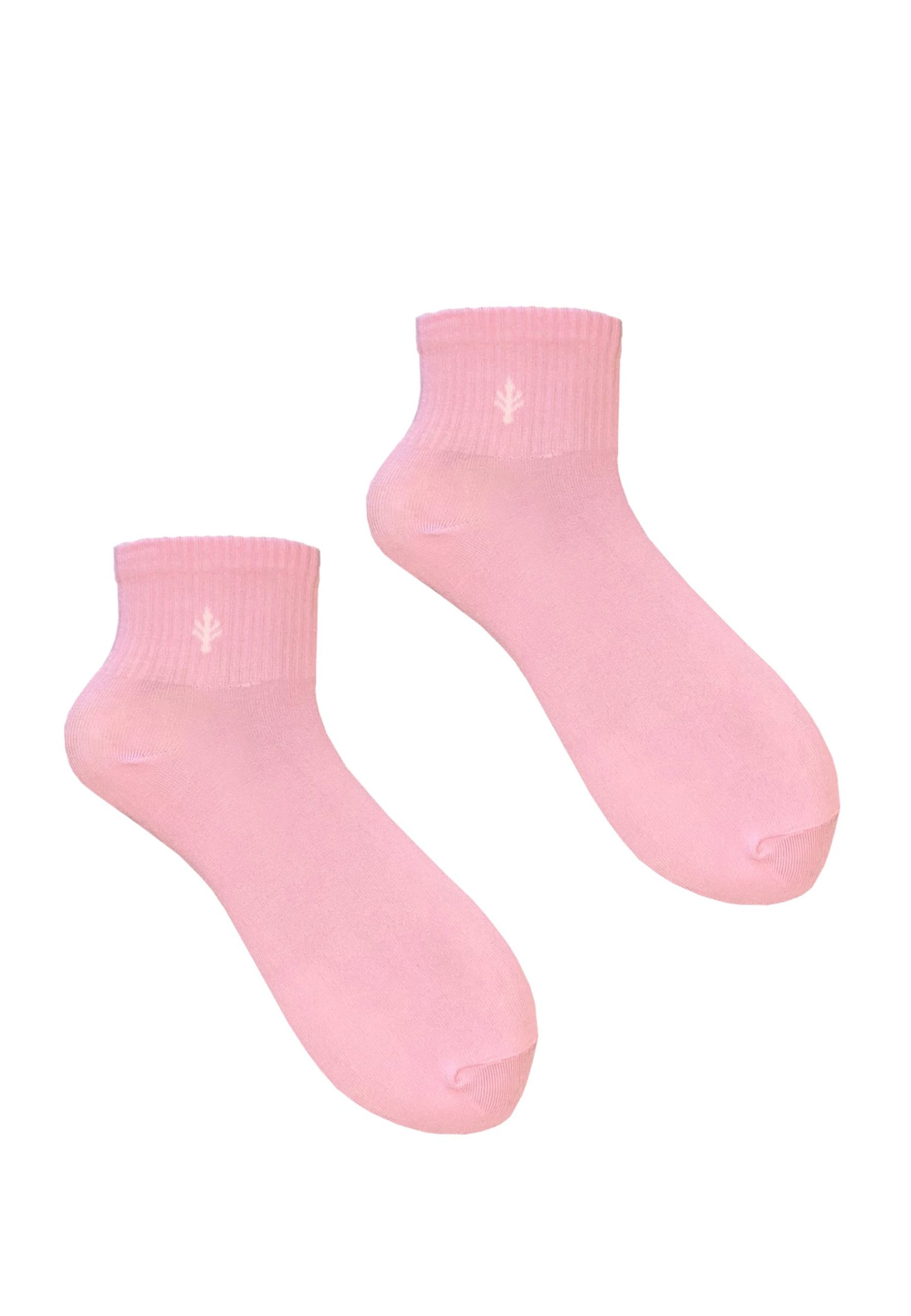 3PAK_LILY_QUARTER_12_39_42_3