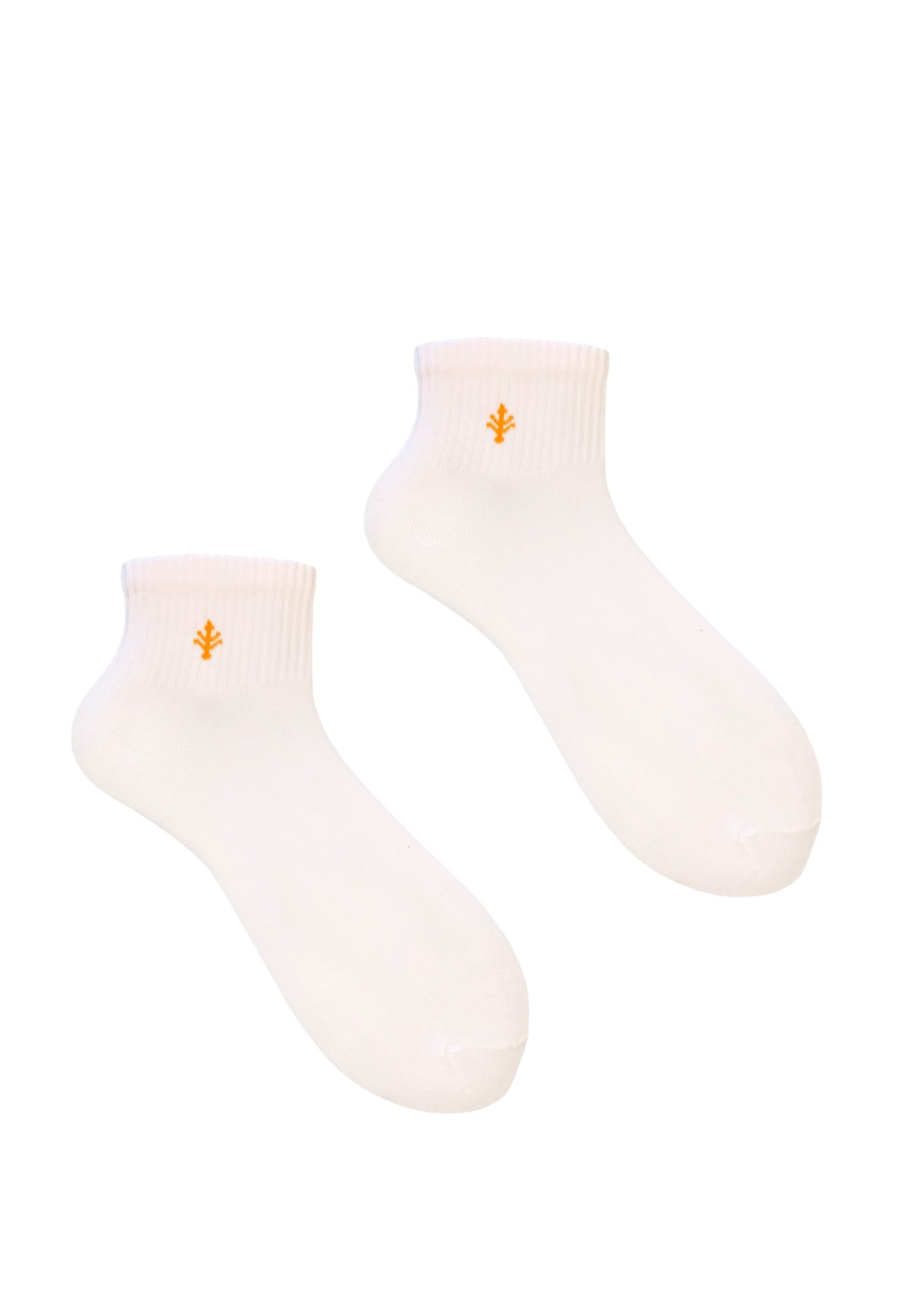 3PAK_LILY_QUARTER_12_39_42_4