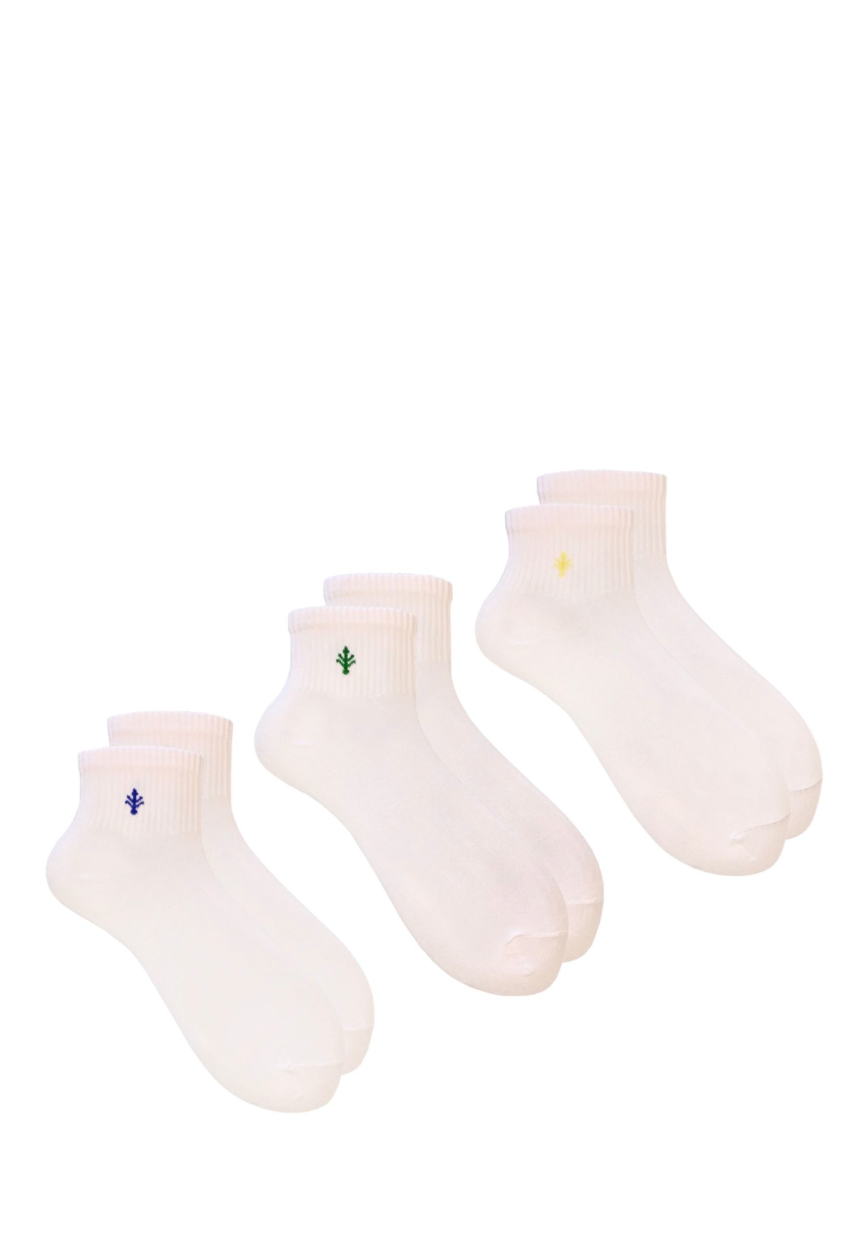3PAK_LILY_QUARTER_13_39_42