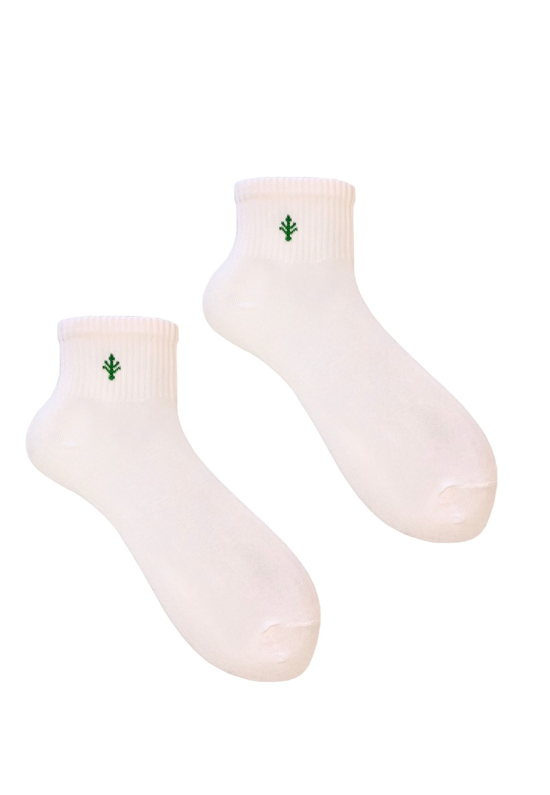 3PAK_LILY_QUARTER_13_39_42_2