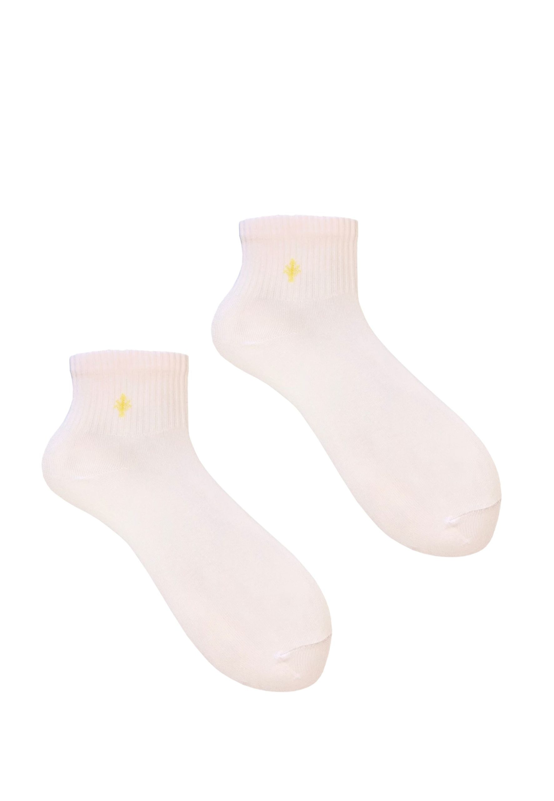 3PAK_LILY_QUARTER_13_39_42_3