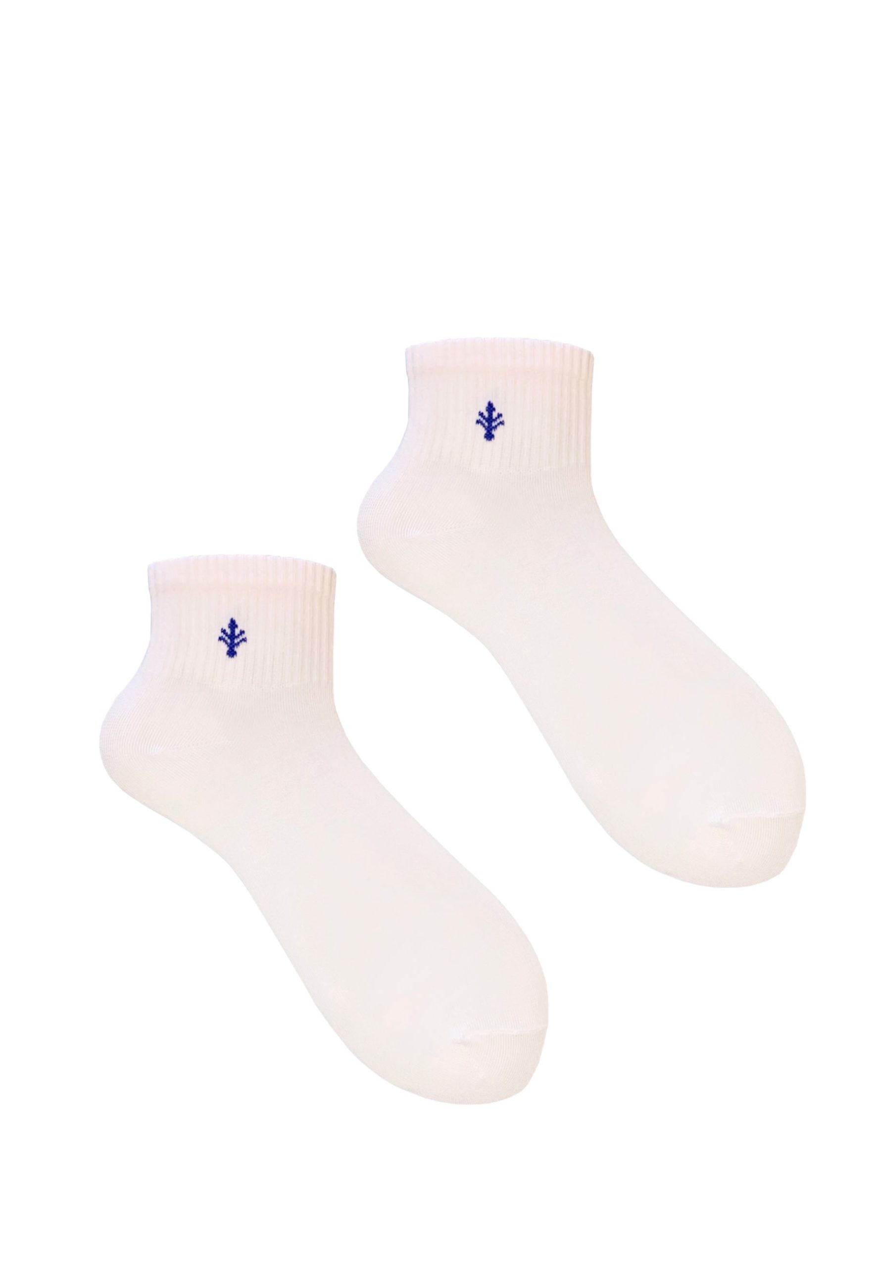 3PAK_LILY_QUARTER_13_39_42_4