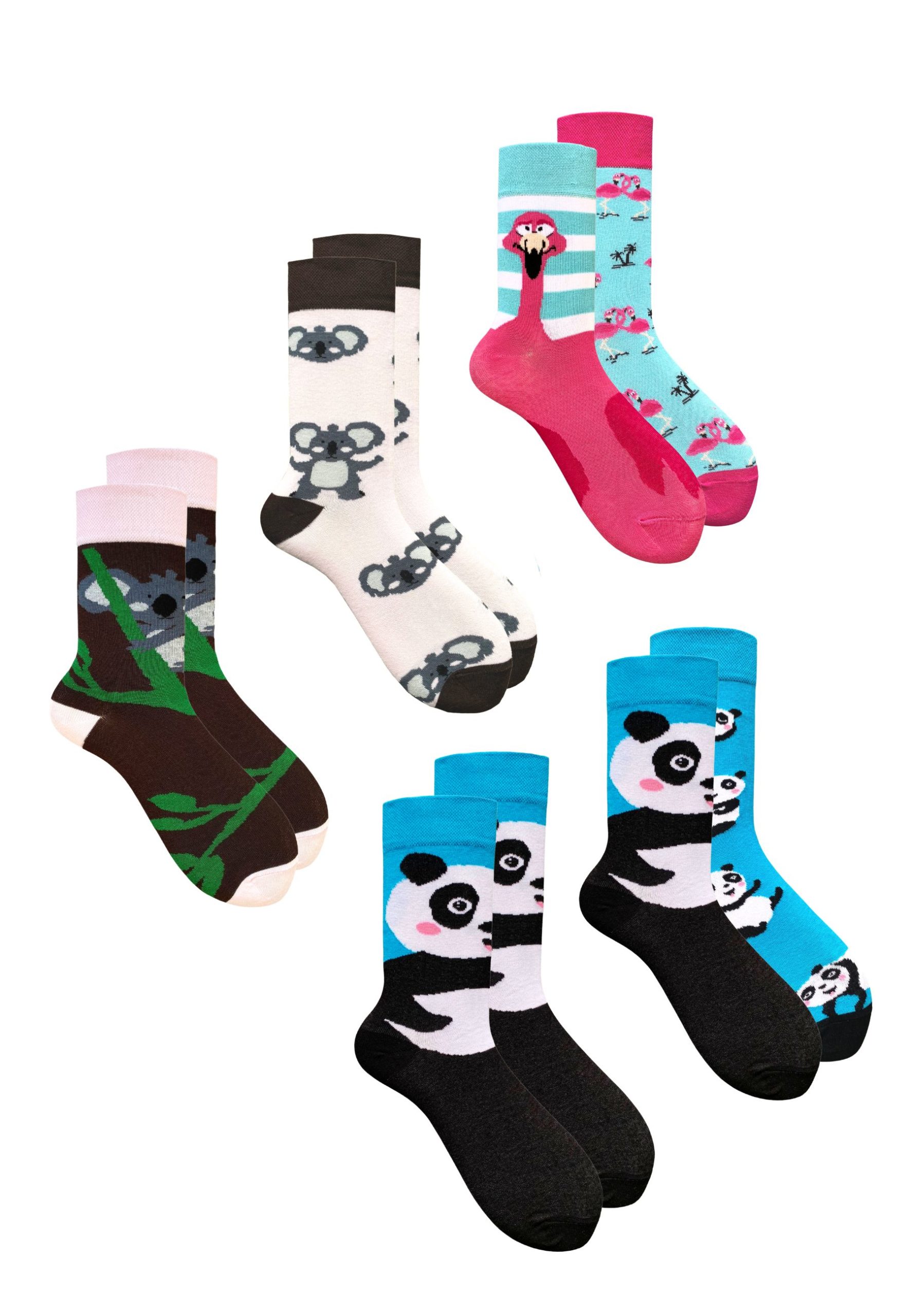 5PAK_MISMATCHED_01_31_34