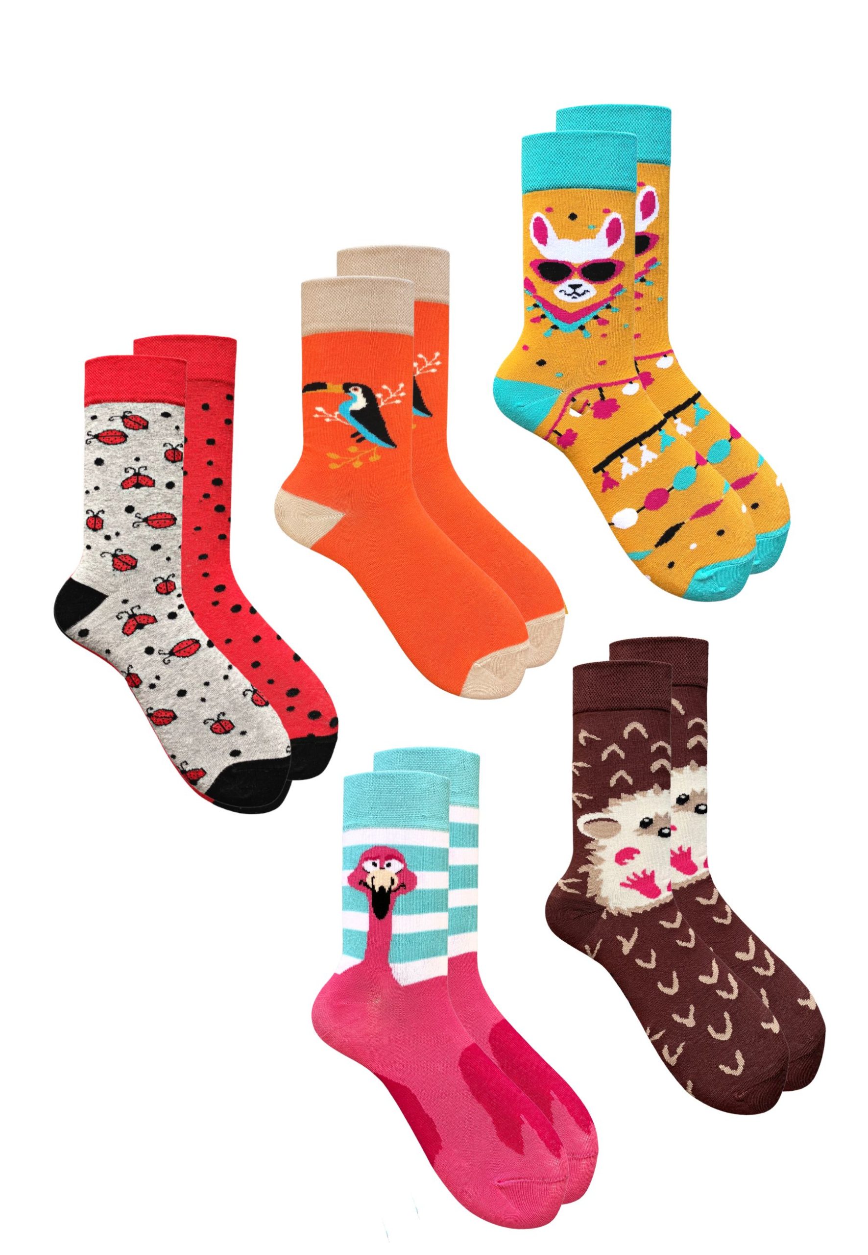 5PAK_MISMATCHED_10_35_38
