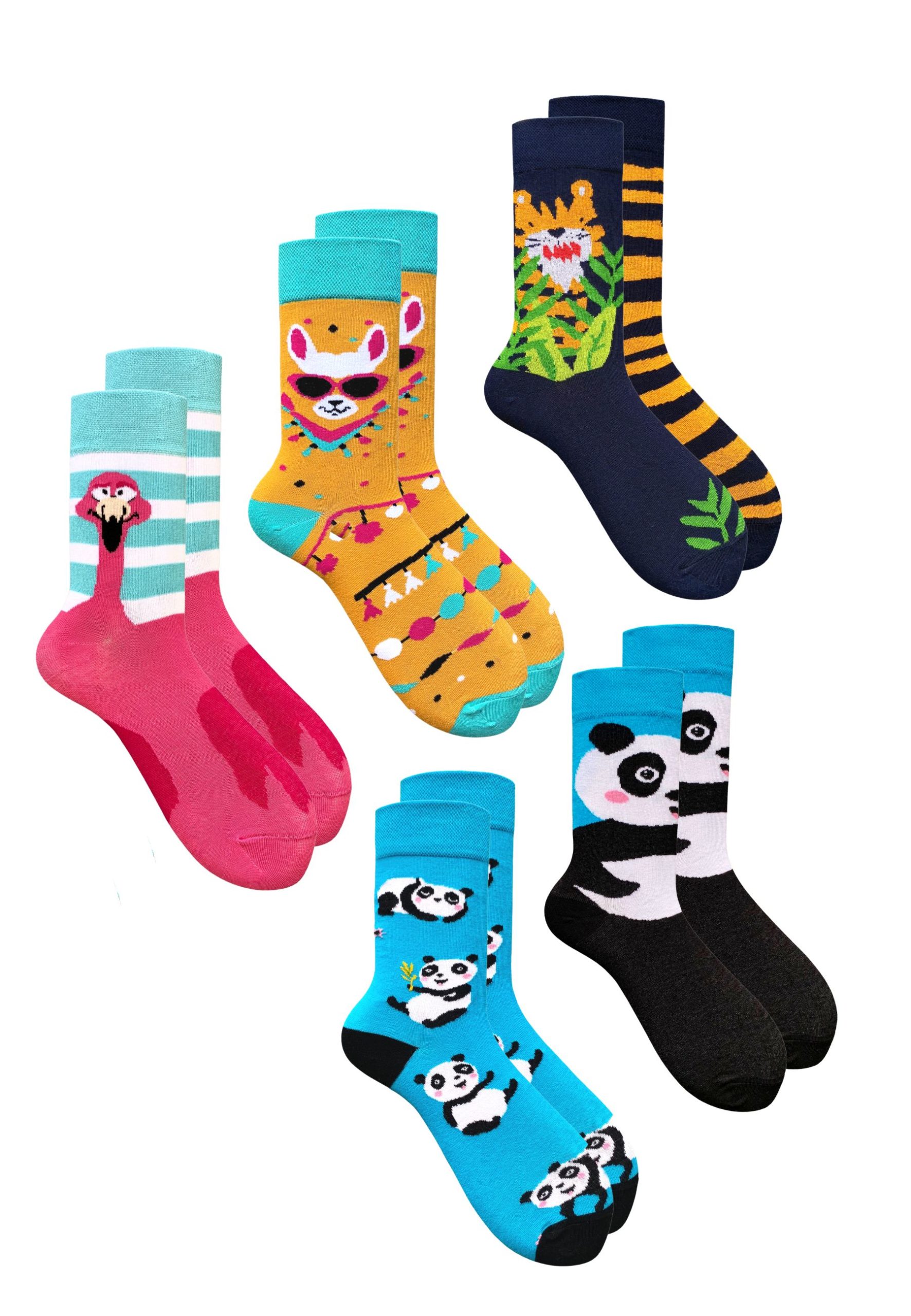 5PAK_MISMATCHED_22_39_42