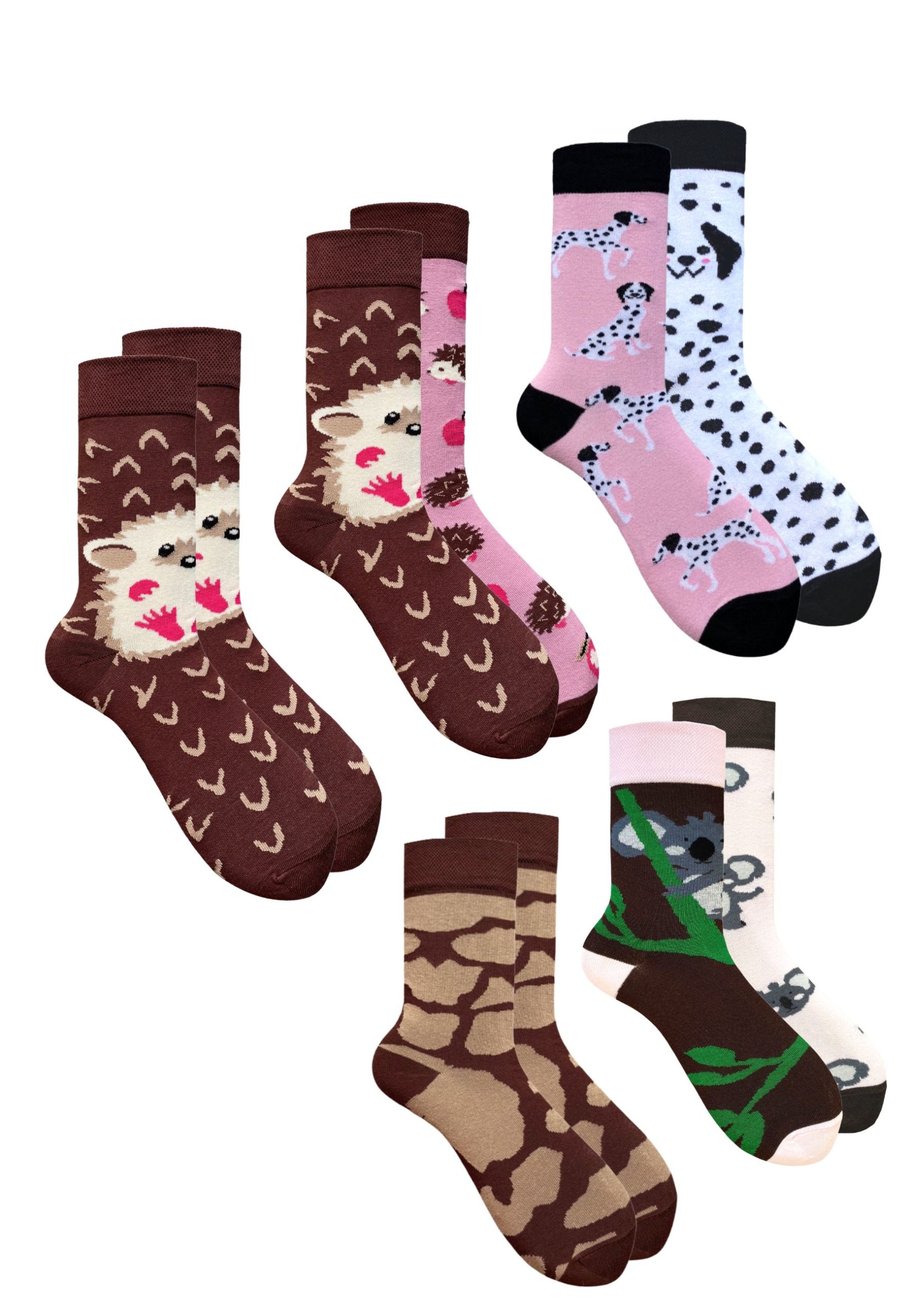 5PAK_MISMATCHED_24_39_42