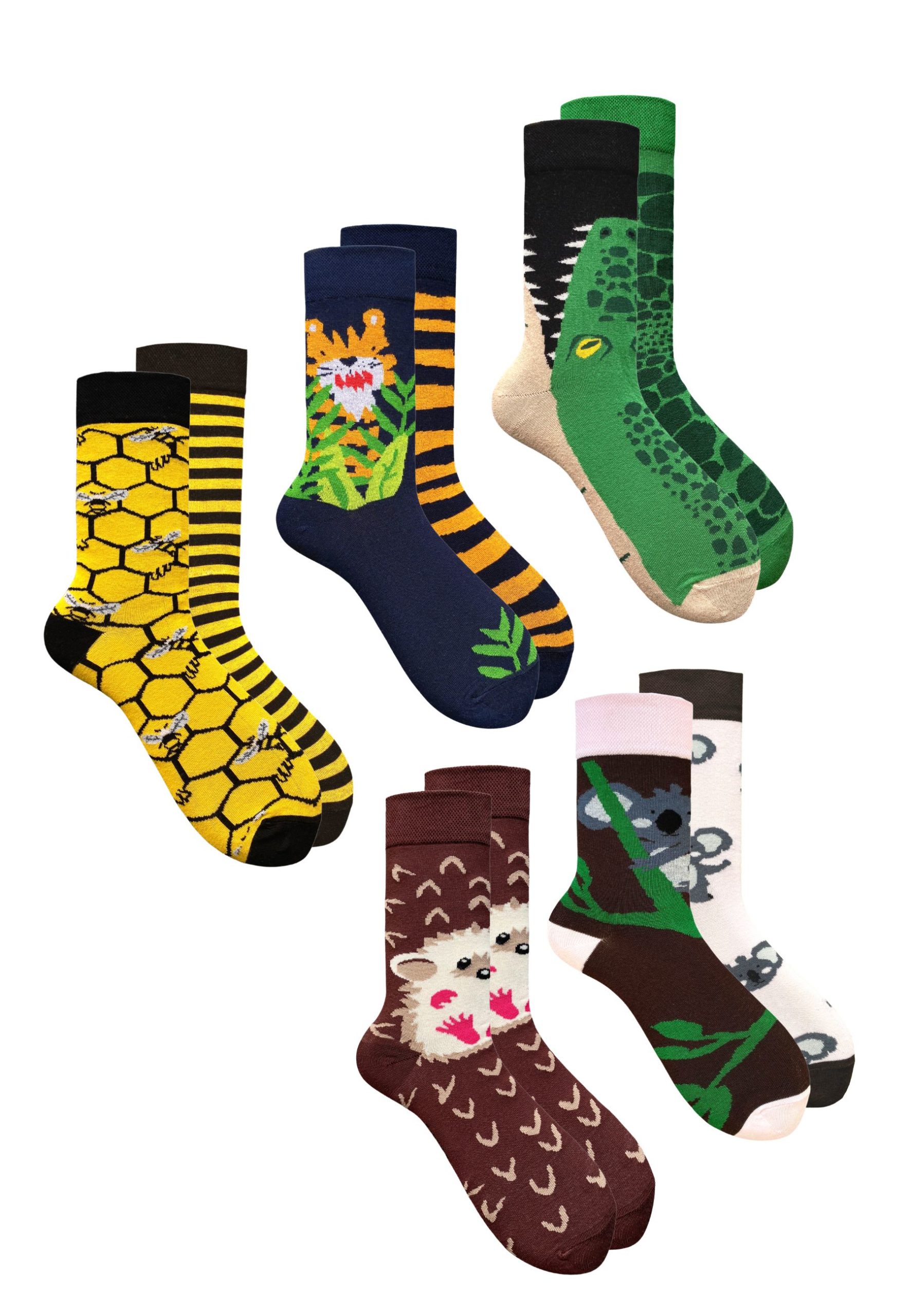 5PAK_MISMATCHED_27_39_42