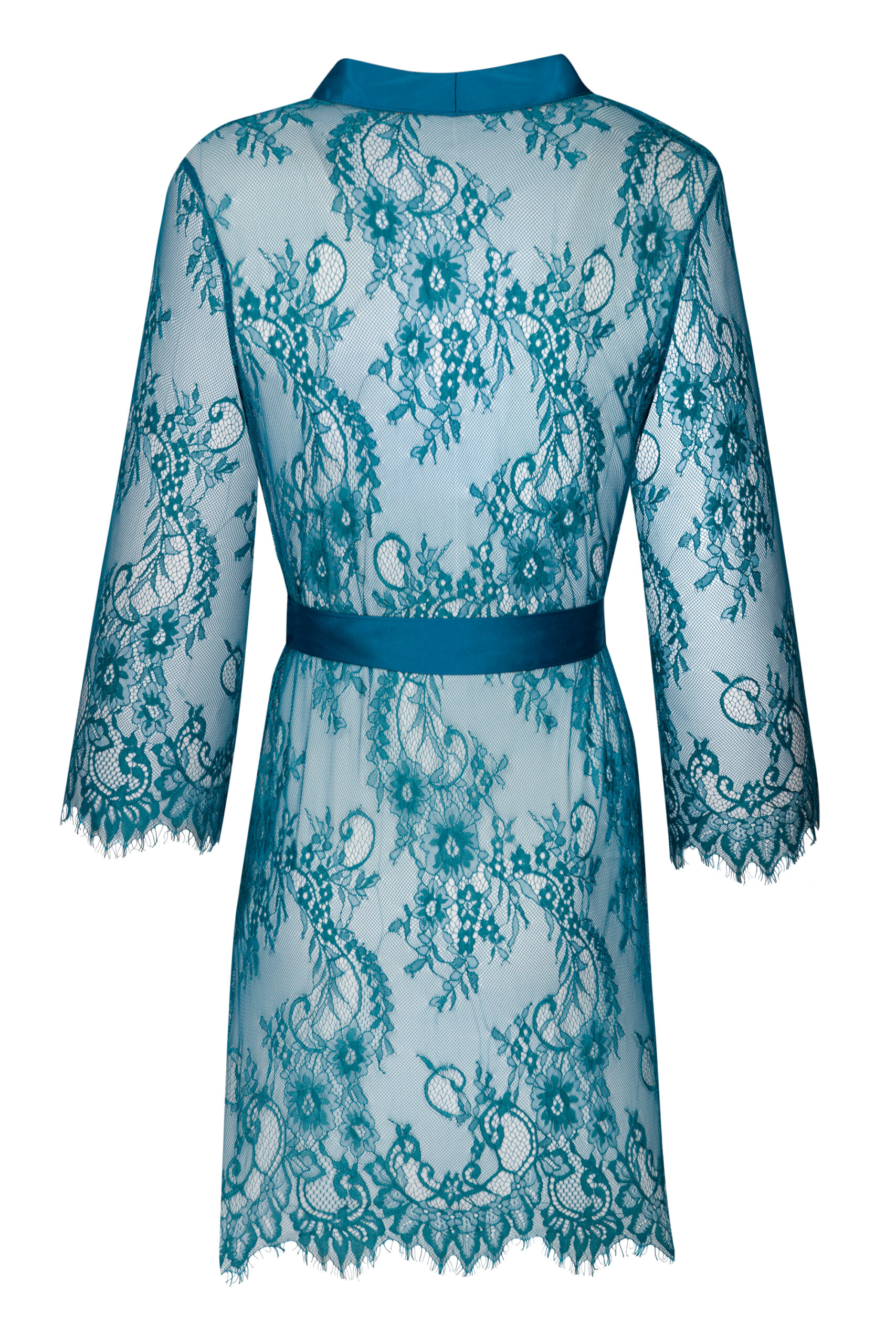 Bluebird_2