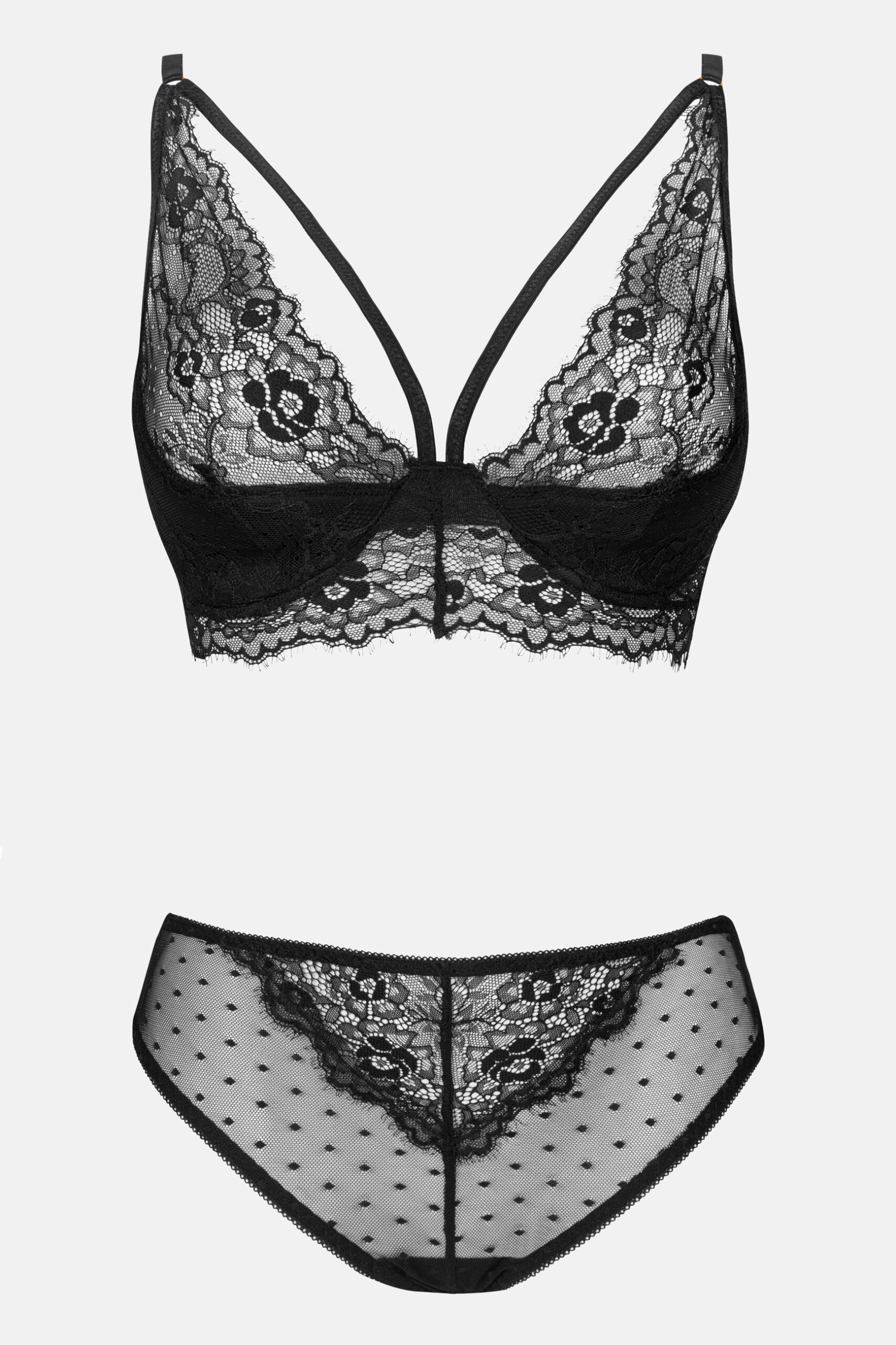 Pine_black1
