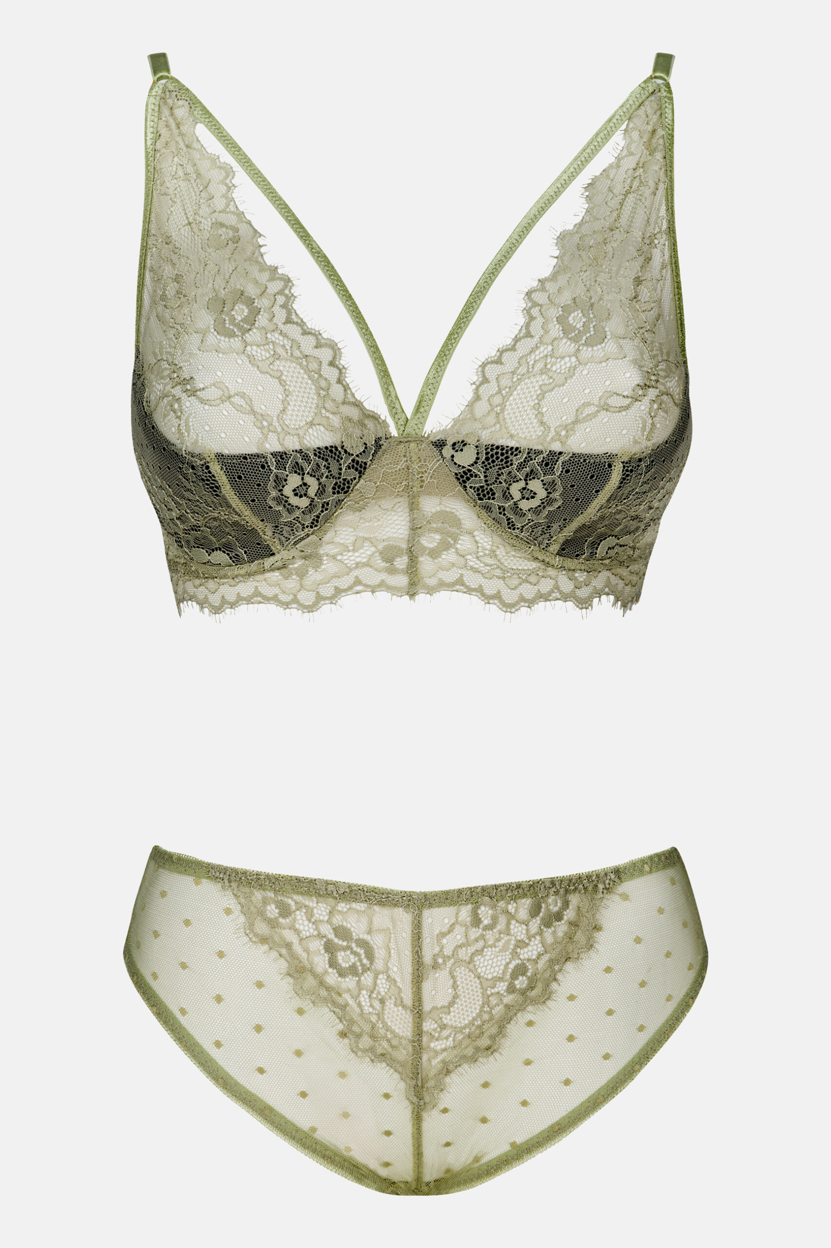 Pine_khaki1